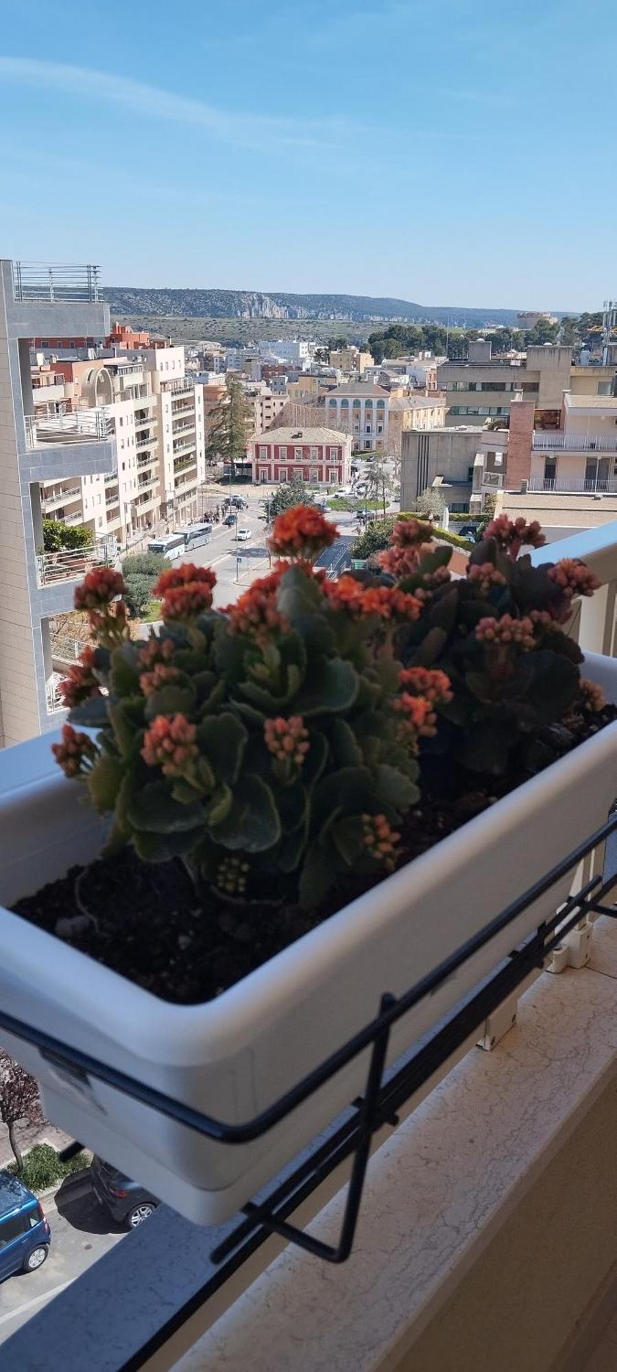 My Home Matera Kültér fotó